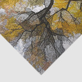 Autumn Tree Yellow Gray Blätter Sky Seidenpapier (Ausschnitt)