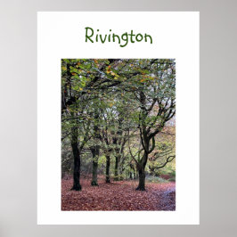 Autumn Trees Rivington Poster