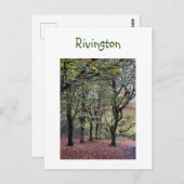 Autumn Trees Rivington Postkarte (Vorne/Hinten)