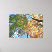 Autumn Treetops Lg Canvas Print Leinwanddruck (Vorderseite)