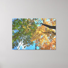 Autumn Treetops Lg Canvas Print Leinwanddruck