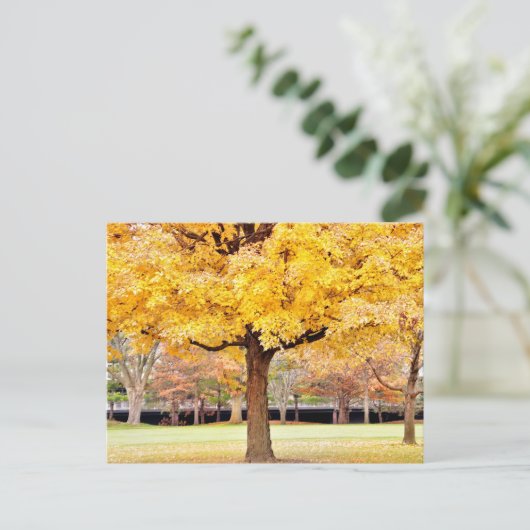 Autumn Vibes Postcard Postkarte (Stehend Vorderseite)