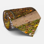 Autumn View Bench Neck Tie Krawatte (Gerollt)