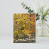 Autumn Vine Weddinga Postkarte (Stehend Vorderseite)