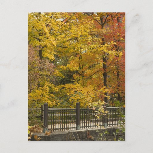 Autumn Vine Weddinga Postkarte (Vorderseite)