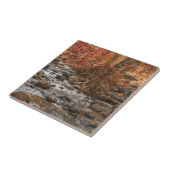 AUTUMN WALDFLUSS SEDONA ARIZONA FLIESE (Seite)