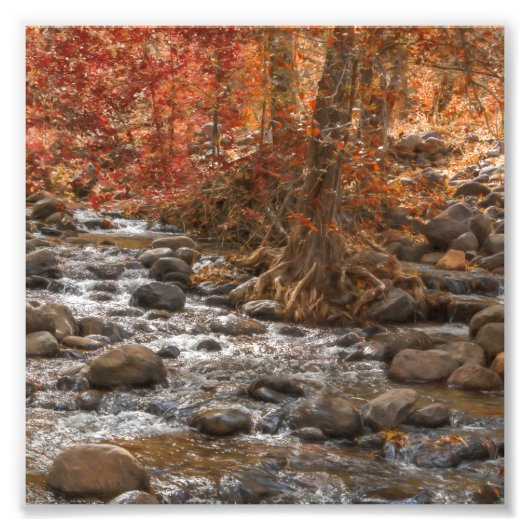 AUTUMN WALDFLUSS SEDONA ARIZONA FOTODRUCK (Vorne)