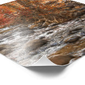 AUTUMN WALDFLUSS SEDONA ARIZONA FOTODRUCK (Ecke)