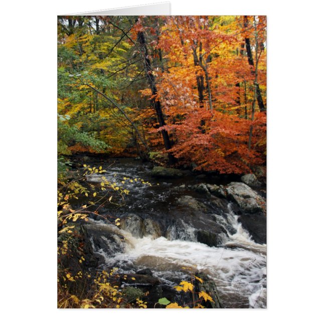 Autumn Waterfall (Vorne)