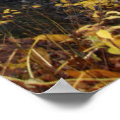 Autumn Waterfall Poster (Ecke)