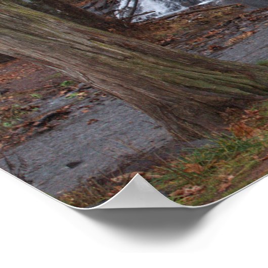 Autumn Waterfall Poster (Ecke)