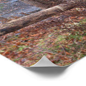 Autumn Waterfall Poster (Ecke)