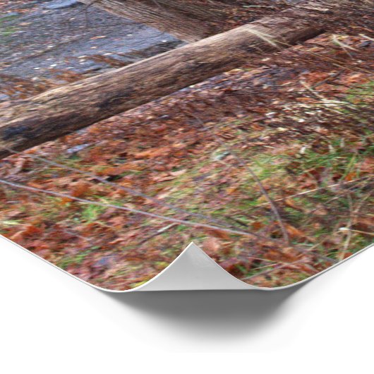 Autumn Waterfall Poster (Ecke)
