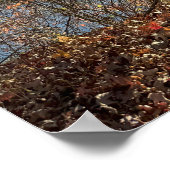 Autumn Waterscape Foto Poster (Ecke)