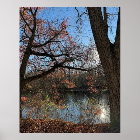 Autumn Waterscape Foto Poster (Vorne)