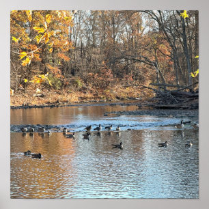 Autumn Waterscape mit Birds Poster