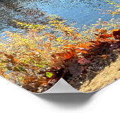 Autumn Waterscape Poster (Ecke)