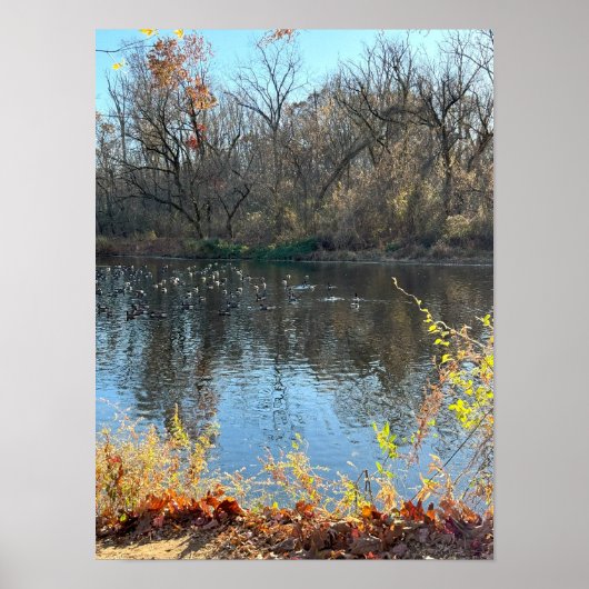 Autumn Waterscape Poster (Vorne)