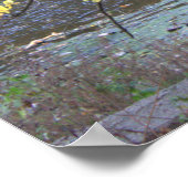 Autumn Waterscape Poster (Ecke)