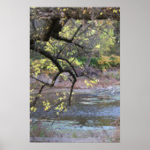Autumn Waterscape Poster (Vorne)