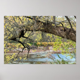 Autumn Waterscape Poster