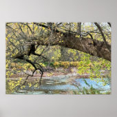 Autumn Waterscape Poster (Vorne)