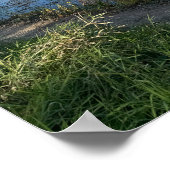 Autumn Waterscape Reflection Poster (Ecke)