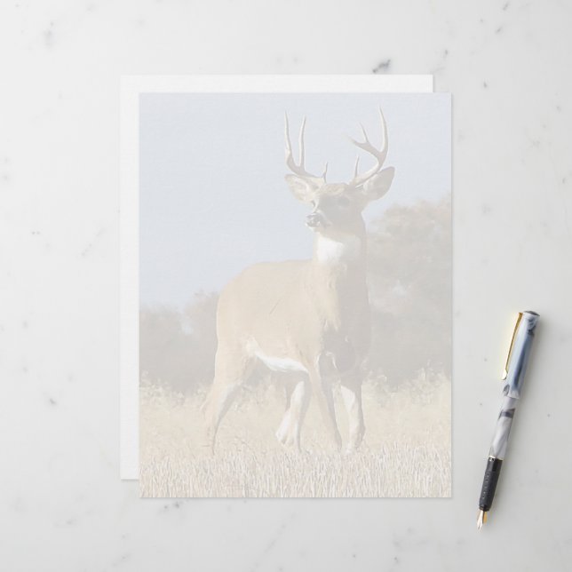 Autumn Whitetail Buck (Vorderseite/Rückseite Beispiel)