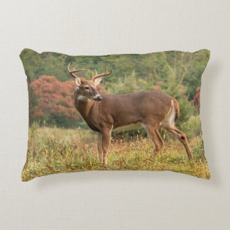 Autumn Whitetail Buck Dekokissen