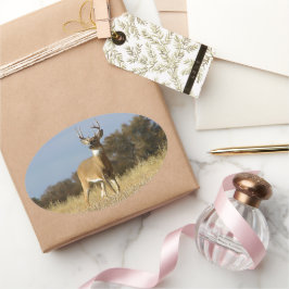 Autumn Whitetail Buck Ovaler Aufkleber