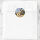 Autumn Whitetail Buck Runder Aufkleber (Tasche)