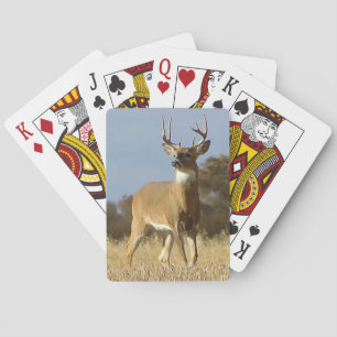 Autumn Whitetail Buck Spielkarten