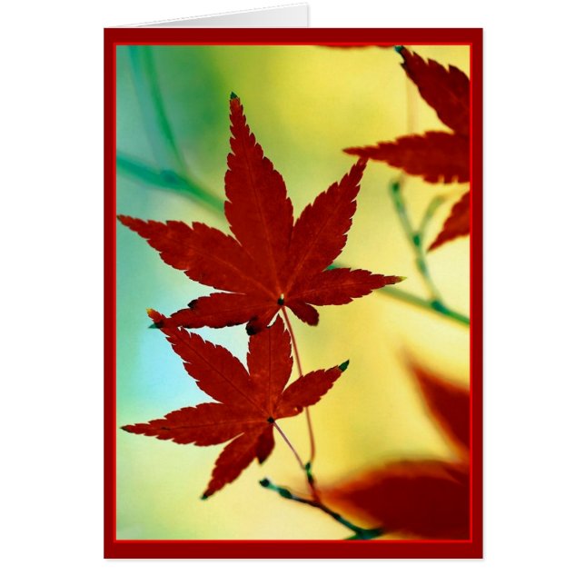 AUTUMN WISHES (Vorne)