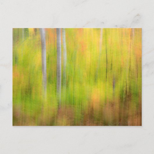 Autumn Woodland | Michigan, Oberhalbinsel Postkarte (Vorderseite)