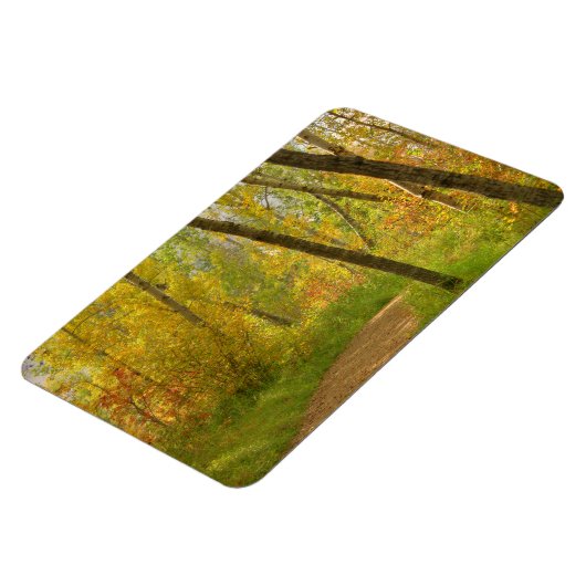Autumn Woodlands Magnet (Linke Seite)