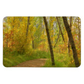 Autumn Woodlands Magnet (Horizontal)