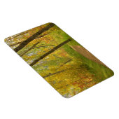 Autumn Woodlands Magnet (Rechte Seite)