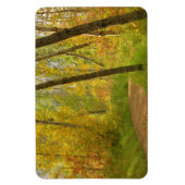 Autumn Woodlands Magnet (Vertikal)