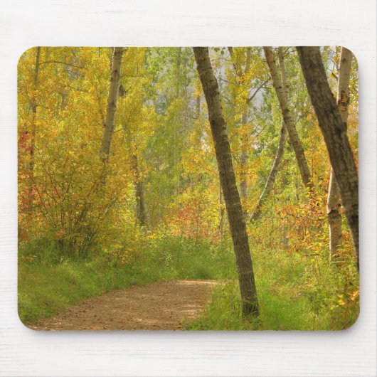 Autumn Woodlands Mousepad (Vorne)
