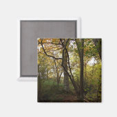 Autumn Woods Magnet (Vorderseite/Rückseite)