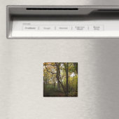 Autumn Woods Magnet (In Situ (Geschirrspüler))