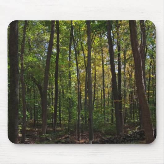 Autumn Woods Mousepad (Vorne)