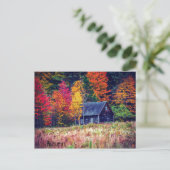 Autumn Woods Shack Postcard Postkarte (Stehend Vorderseite)