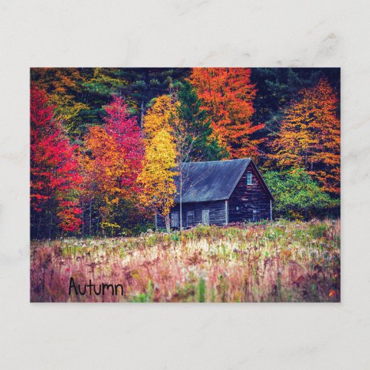 Autumn Woods Shack Postcard Postkarte (Vorderseite)