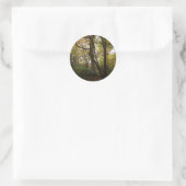 Autumn Woods Sticker (Tasche)
