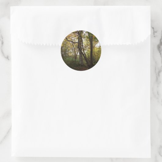 Autumn Woods Sticker (Tasche)