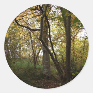 Autumn Woods Sticker