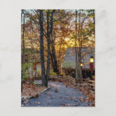 Autumn Woods Sunset Walkway Postcard Postkarte (Vorderseite)