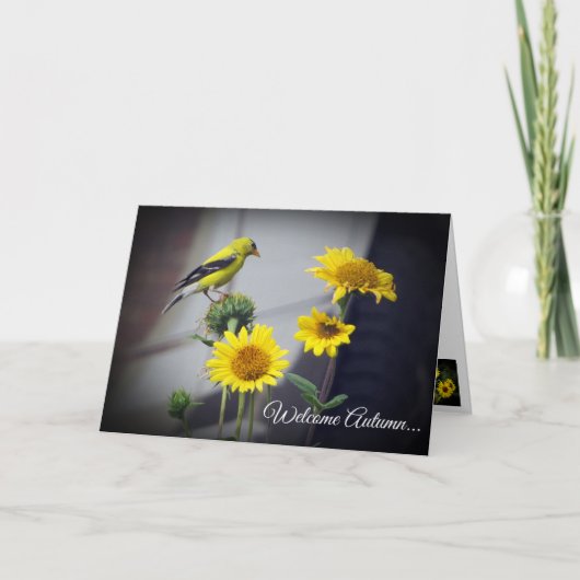 Autumn Wunsche Card by Stan Einladung (Vorderseite)