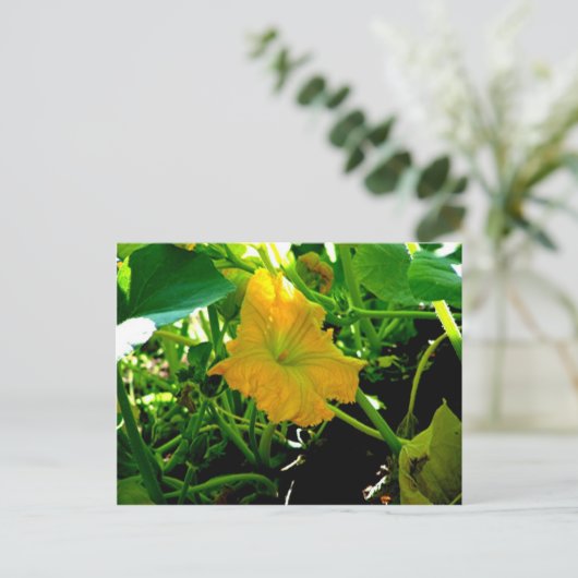 " Autumn Yellow Squash Blossom" Postkarte (Stehend Vorderseite)